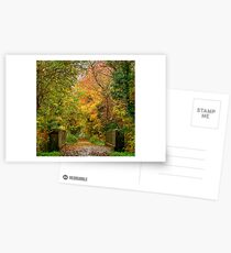 The Bridge Over Ox Lane....Wet November Morning Postcards