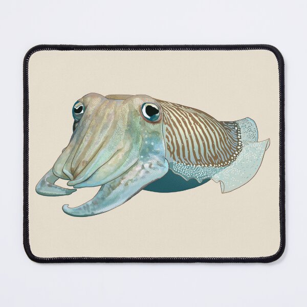 Item preview, Cuttlefish 3a (Parchment) designed and sold by Zia Frazier.