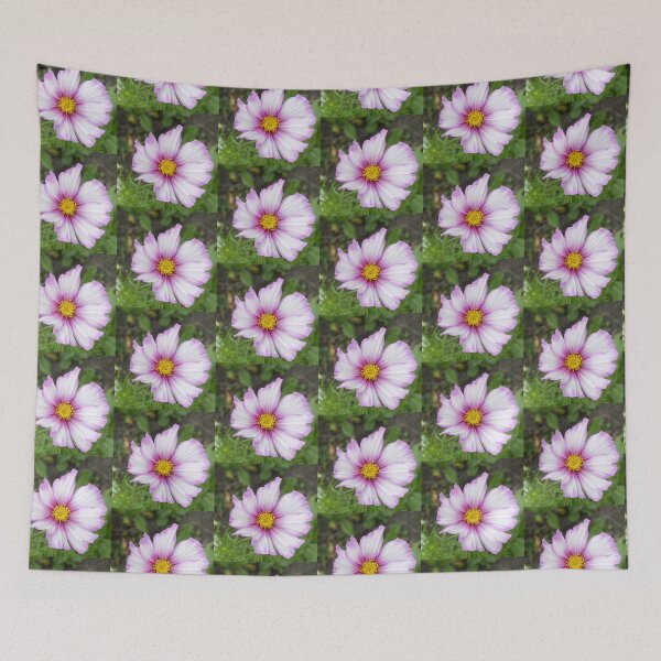 Item preview, Cosmos Pink & White Summer Flower designed and sold by shopismo.