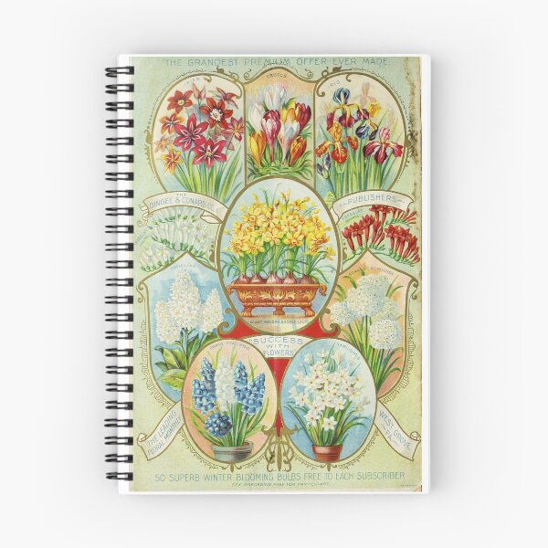 Item preview, Vintage Dingee & Conard Co. Colorful Spring Bulbs Catalog designed and sold by MochaMeli.