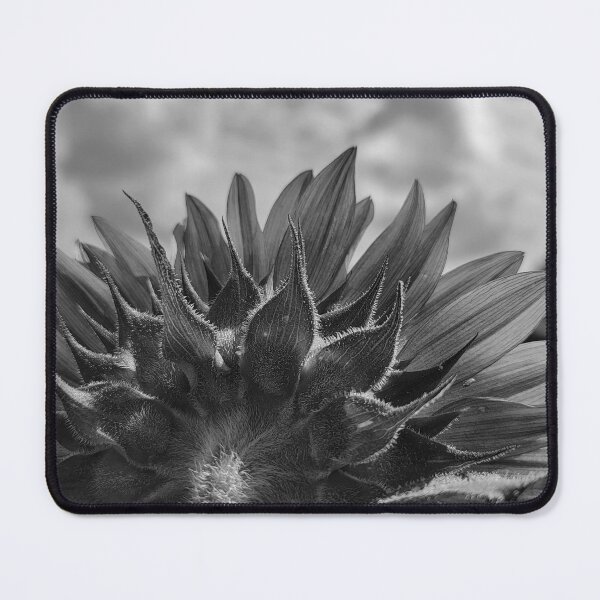 Item preview, Looking Back (In Black and White) designed and sold by shutterbug2010.