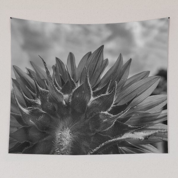 Item preview, Looking Back (In Black and White) designed and sold by shutterbug2010.