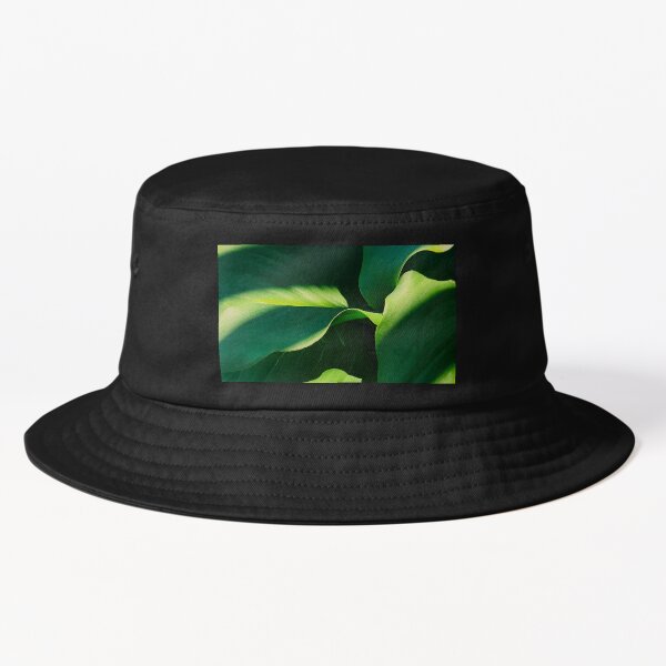 Item preview, Lush Leaves In Exotic Shadows And Sunlight Streaks designed and sold by DEC02.