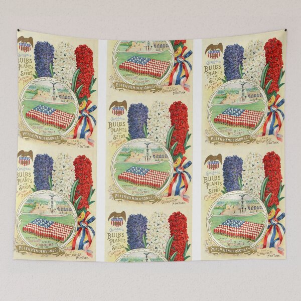 Item preview, Vintage Henderson & Co. Patriotic Hyacinths 1898 Catalog designed and sold by MochaMeli.