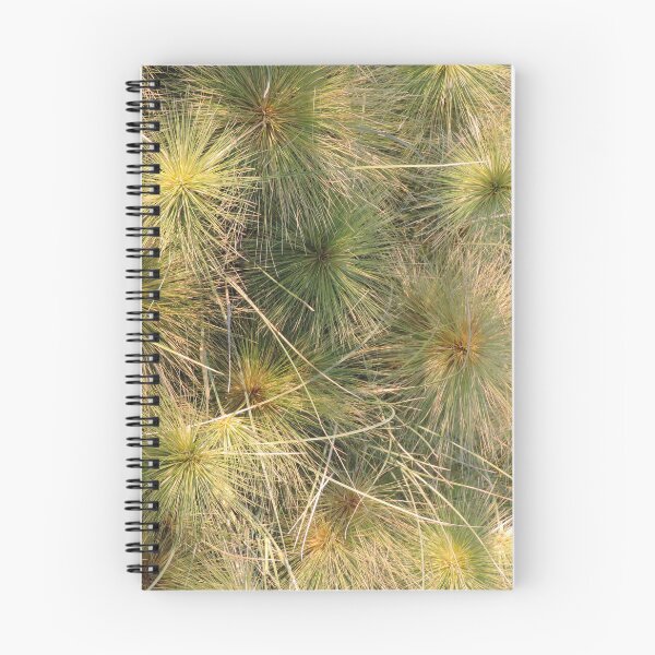 Item preview, Beach Spinifex (Spinifex sericeus) designed and sold by Marilyn Harris.