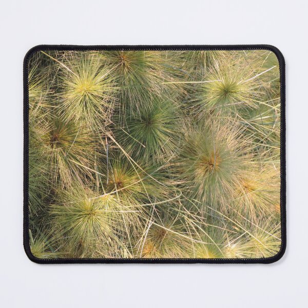 Item preview, Beach Spinifex (Spinifex sericeus) designed and sold by Marilyn Harris.