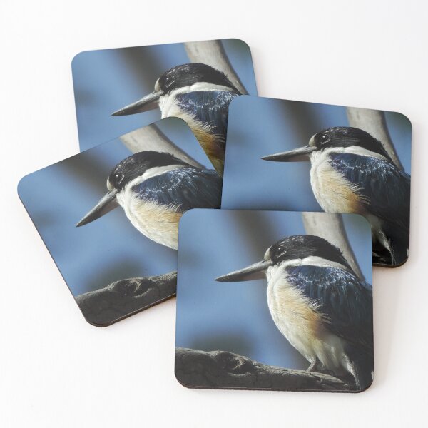 Item preview, Forest Kingfisher (Todiramphus macleayii) designed and sold by Marilyn Harris.