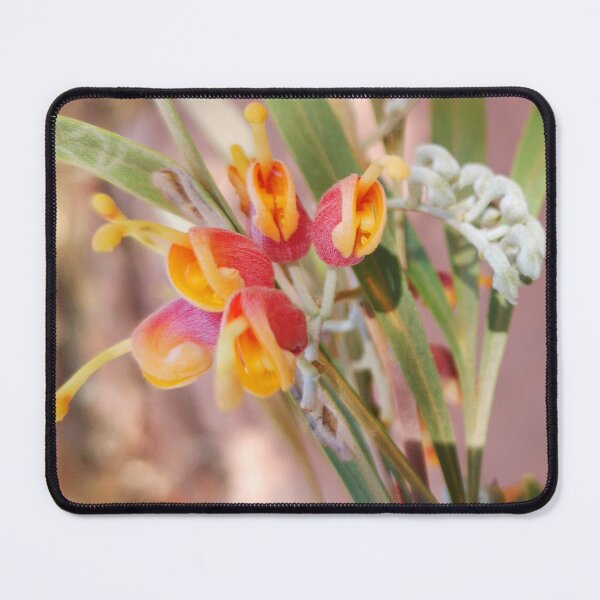 Item preview, Spectacular Grevillea refracta designed and sold by Marilyn Harris.
