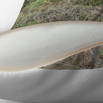 Alternate view of Wandering coyote Throw Pillow