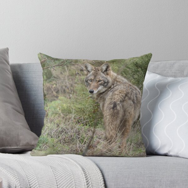 Item preview, Wandering coyote designed and sold by Anthony Brewer.