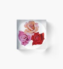 Australian Bred Roses 4 Acrylic Block