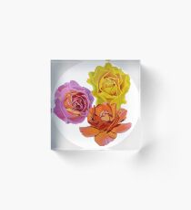 Australian Bred Roses 5 Acrylic Block