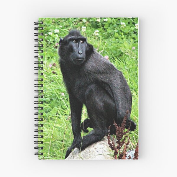 Item preview, Sulawesi Macaque designed and sold by Ladymoose.