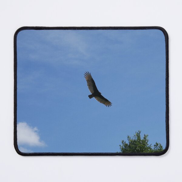 Item preview, Soaring Turkey Vulture designed and sold by Faith-B-Photos.