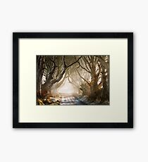 The Dark Hedges County Antrim Northern Ireland Framed Print