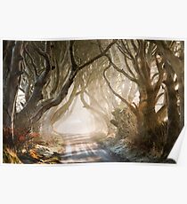 The Dark Hedges County Antrim Northern Ireland Poster