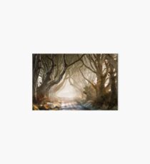 The Dark Hedges County Antrim Northern Ireland Art Board