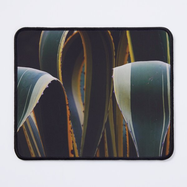 Item preview, Curling Leaves of Agave American with Beautiful Green Hues designed and sold by CarolinaReina.