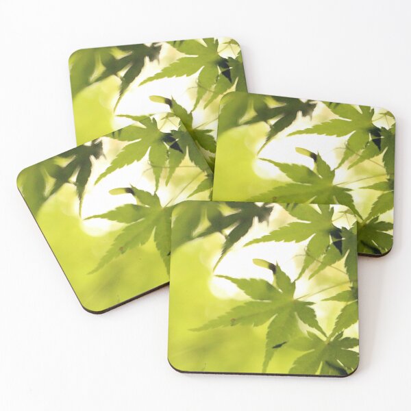 Item preview, Lithia Leaves designed and sold by Photos by Michael J. Mesmer.
