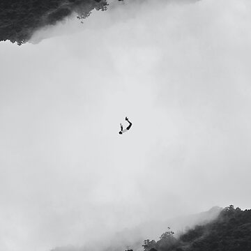 Artwork thumbnail, Falling person art by Zachlogic