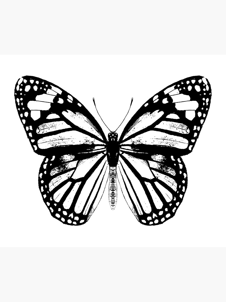 Disover Monarch Butterfly | Vintage Butterflies | Black and White | Tapestry