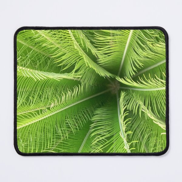 Item preview, Sago palm designed and sold by MusondaNancy.