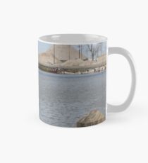 River Seagulls Mug