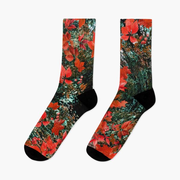 Item preview, Red trees designed and sold by Momentsbb.