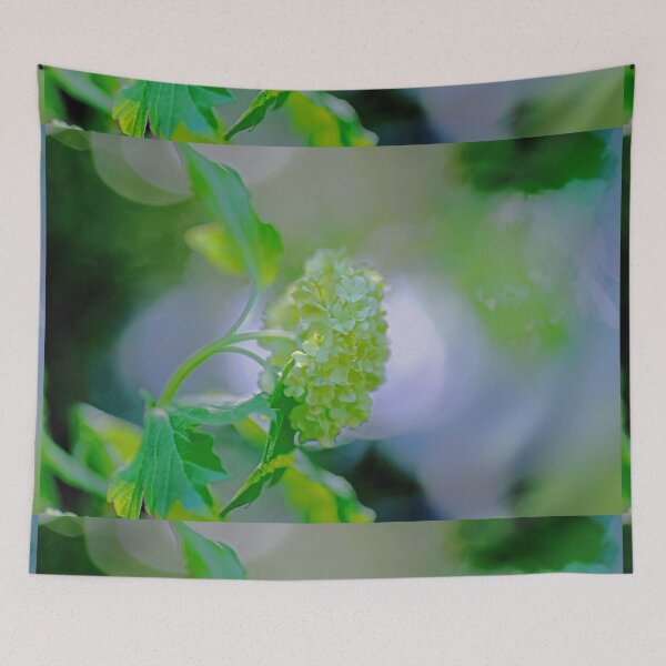 Item preview, Hydrangea in dusky dappled sunlight designed and sold by imaginethis.