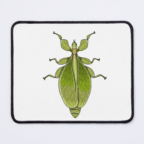 Item preview, Female leaf insect phasmid  designed and sold by Artbychb.