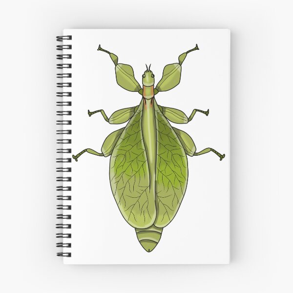 Item preview, Female leaf insect phasmid  designed and sold by Artbychb.