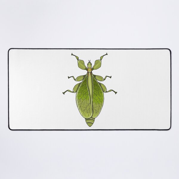 Item preview, Female leaf insect phasmid designed and sold by Artbychb.