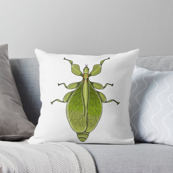 Item preview, Female leaf insect phasmid  designed and sold by Artbychb.