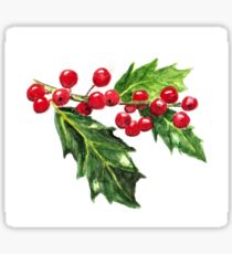 Holly Branch, Green Leaves and Red Berries Sticker