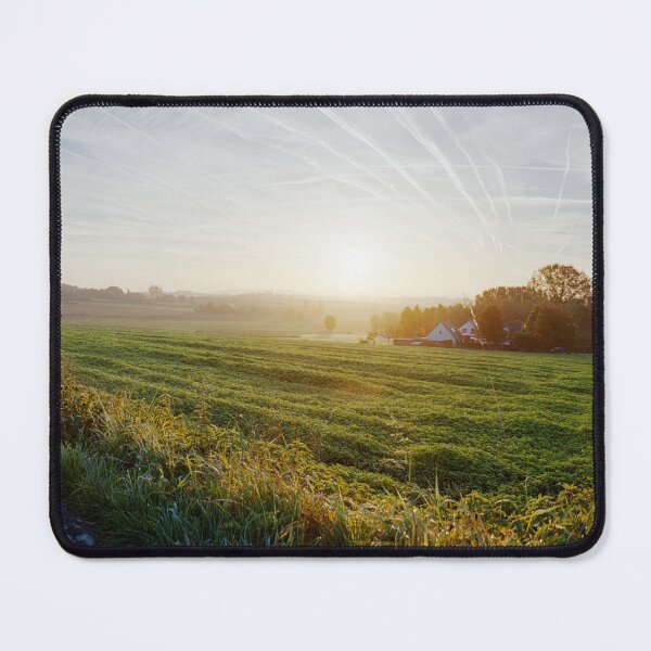 Item preview, paving sett road in autumnal sunlight designed and sold by FotoMahieu.