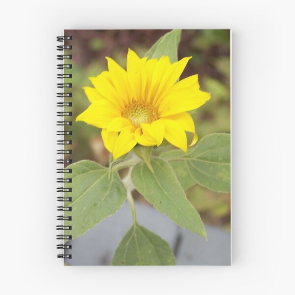Item preview, Mini Rogue Sunflower from Birdseed designed and sold by DianeBP.