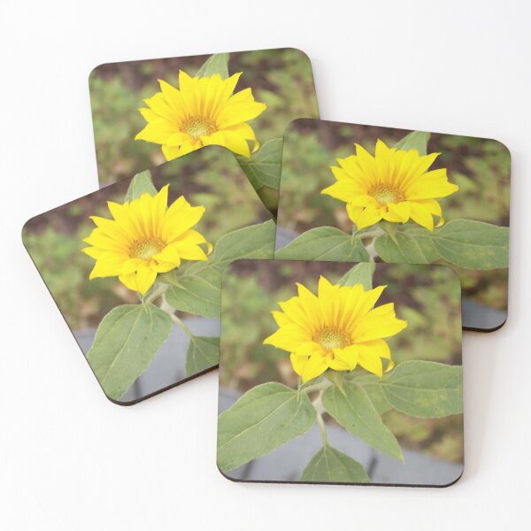 Item preview, Mini Rogue Sunflower from Birdseed designed and sold by DianeBP.