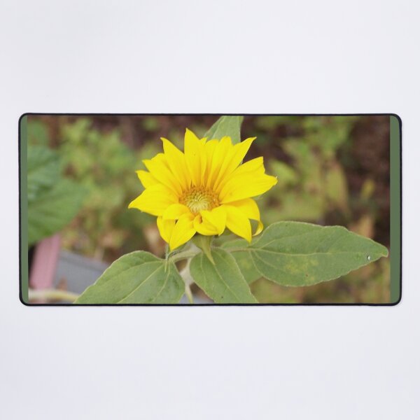 Item preview, Mini Rogue Sunflower from Birdseed designed and sold by DianeBP.