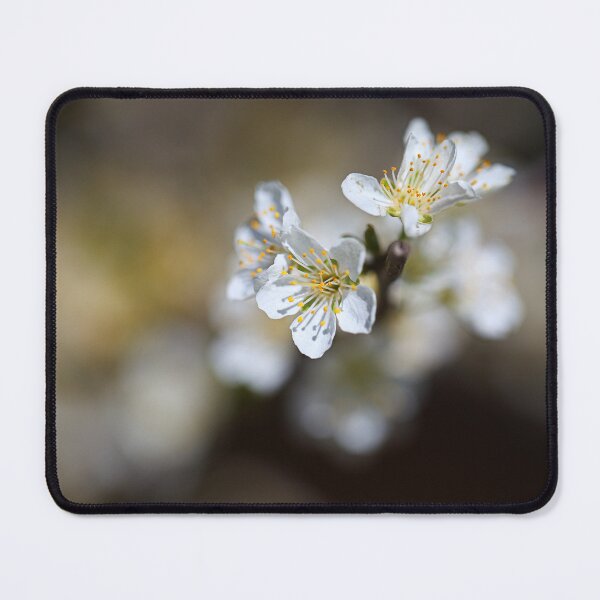 Item preview, Blossom Spring She Hints  designed and sold by Joy Watson - Natural Light Photography .