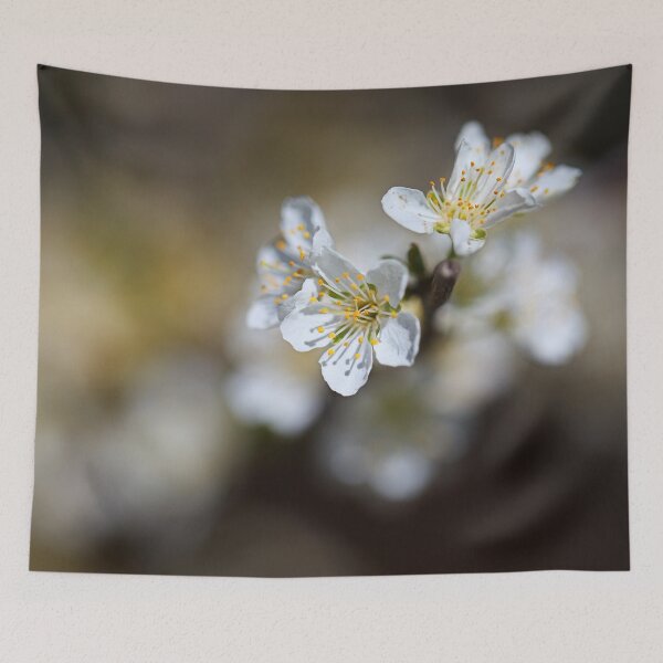 Item preview, Blossom Spring She Hints  designed and sold by Joy Watson - Natural Light Photography .