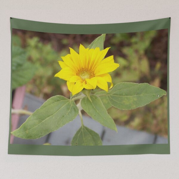 Item preview, Mini Rogue Sunflower from Birdseed designed and sold by DianeBP.