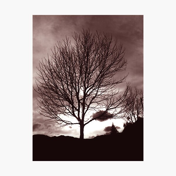 Item preview, The Lonesome Tree designed and sold by john graf.