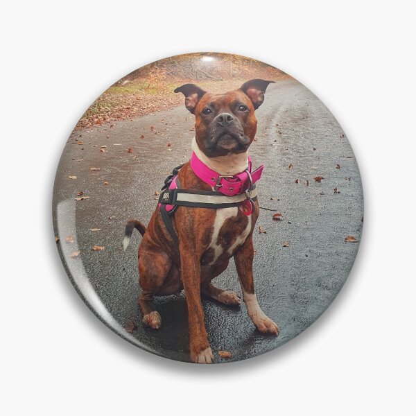 Item preview, Staffy in woods designed and sold by Jongra.
