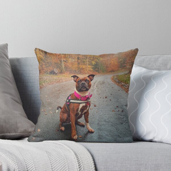 Item preview, Staffy in woods designed and sold by Jongra.