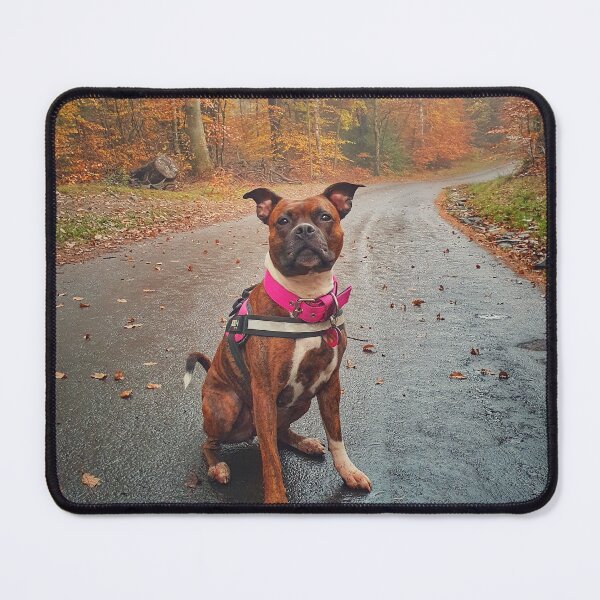 Item preview, Staffy in woods designed and sold by Jongra.