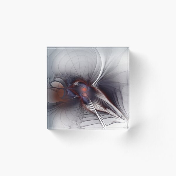 Colibri Bloc acrylique