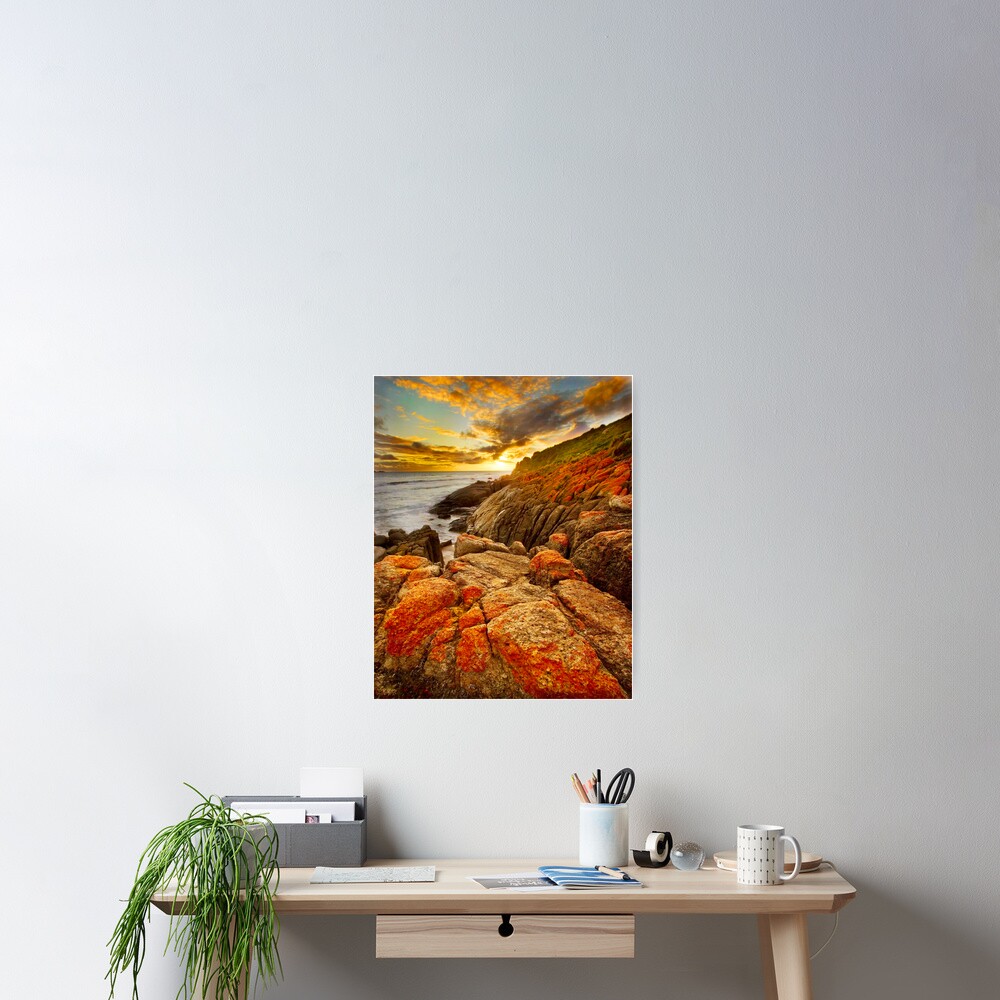 Item preview, Poster designed and sold by frankc.
