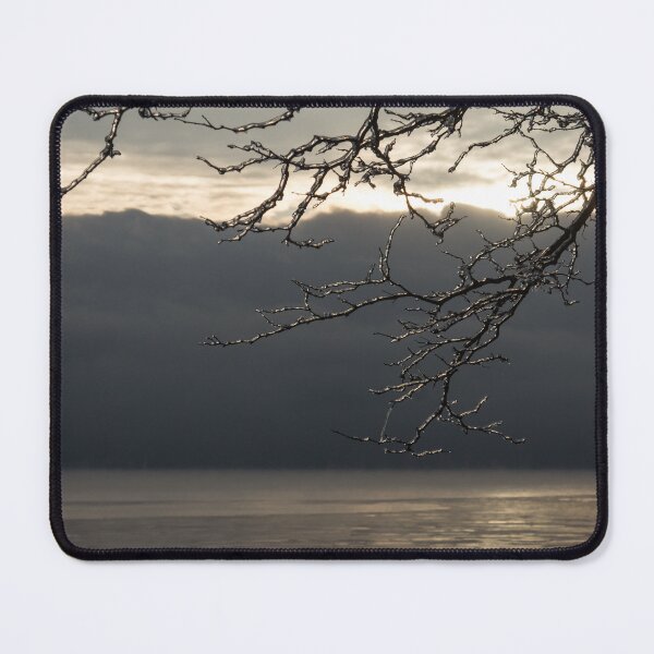 Item preview, Cold Beauty - Ice Covered Branches at the Waterfront designed and sold by Georgia Mizuleva.