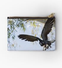 Carnaby's Cockatoo flying out of a Gum tree. Studio Pouch
