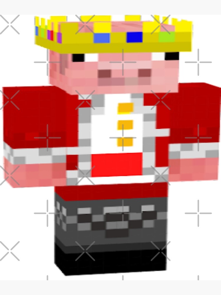 technoblade ✨  Minecraft skins aesthetic, Minecraft art, Pictures of minecraft  skins